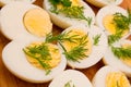 Boiled eggs with dill Royalty Free Stock Photo