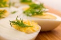 Boiled eggs with dill Royalty Free Stock Photo