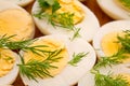 Boiled eggs with dill Royalty Free Stock Photo