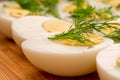 Boiled eggs with dill Royalty Free Stock Photo