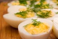 Boiled eggs with dill Royalty Free Stock Photo