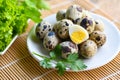 boiled eggs food, quail eggs on white plate, breakfast eggs with fresh quail eggs and vegetable coriander on wooden table