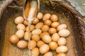 Boiled eggs from hot spring water in Kurokawa onsen, Japan Royalty Free Stock Photo