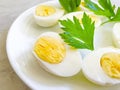 Boiled eggs on a plate, parsley nutrient diet morning Royalty Free Stock Photo