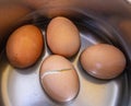 Boiled Eggs in a pot Royalty Free Stock Photo