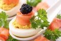 Boiled eggs with red black caviar Royalty Free Stock Photo