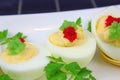 Boiled eggs with red caviar. Royalty Free Stock Photo