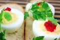 Boiled eggs with red caviar. Royalty Free Stock Photo