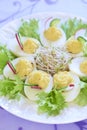 Boiled eggs with salad, sprouts, cucumber and radi Royalty Free Stock Photo