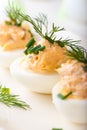 Boiled Eggs with Salmon Cream for Easter Boiled E