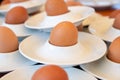 Boiled eggs served from white eggcups Royalty Free Stock Photo