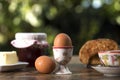 Boiled eggs on a breakfst table Royalty Free Stock Photo