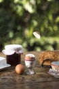 Boiled eggs on a breakfst table Royalty Free Stock Photo