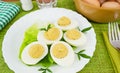 Boiled eggs tonnate Royalty Free Stock Photo