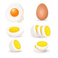 Boiled eggs whole and half, fresh and fried realistic vector Royalty Free Stock Photo