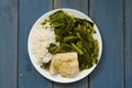 Boiled fish with rice and kale Royalty Free Stock Photo