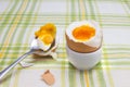 Boiled fresh smash broken egg for the breakfast on the porcelain stand for eggs. Broken beige hen egg and pieces of shells, bright