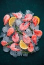 Boiled- frozen shrimp, on ice cubes, close-up, top view, Royalty Free Stock Photo