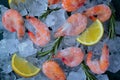 Boiled- frozen shrimp, on ice cubes, close-up, top view, Royalty Free Stock Photo