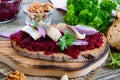 Boiled grated beets, pieces of herring, red onions, nuts on whole grain bread. Royalty Free Stock Photo