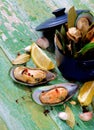 Boiled Green Mussels Royalty Free Stock Photo