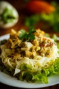 Boiled home-made noodles with gravy from eggplant Royalty Free Stock Photo