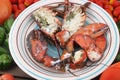 Boiled lobster as luxury gourmet sea food with tomatoes background