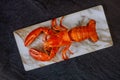 Boiled lobster on fine selection of crustacean for dinner Royalty Free Stock Photo