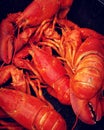 Boiled lobsters