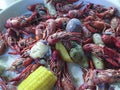 Boiled Louisiana Crawfish or Crayfish Royalty Free Stock Photo