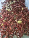 Boiled Louisiana Crawfish or Crayfish Royalty Free Stock Photo