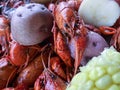 Boiled Louisiana Crawfish or Crayfish Royalty Free Stock Photo