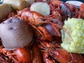 Boiled Louisiana Crawfish or Crayfish Royalty Free Stock Photo