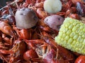 Boiled Louisiana Crawfish or Crayfish Royalty Free Stock Photo