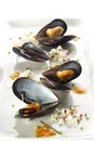 Boiled mussels