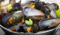 Boiled mussels in cooking dish