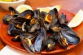 Boiled Mussels Royalty Free Stock Photo