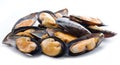 Mussels on a white background. Royalty Free Stock Photo