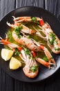 Boiled Nephrops norvegicus, Norway lobster, Dublin Bay prawn, la Royalty Free Stock Photo