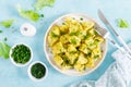 Boiled new potato with butter, dill and green onion Royalty Free Stock Photo