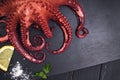 Boiled octopus on black stone background close-up. Royalty Free Stock Photo