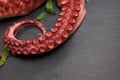 Boiled octopus on black stone background close-up. Royalty Free Stock Photo