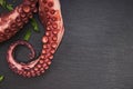 Boiled octopus on black stone background close-up. Royalty Free Stock Photo