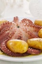 Boiled octopus with potato Royalty Free Stock Photo