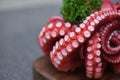 Boiled octopus tentacles on wooden cutting board, Octopus food cooked salad seafood squid cuttlefish dinner restaurant