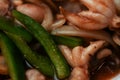 Boiled octopus with vegetables. Close-up photo. Macro photography. Food concept background