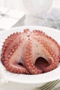 Boiled octopus on white plate Royalty Free Stock Photo