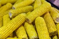 Boiled organic corn outdoors closeup