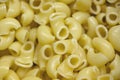 Boiled pasta horns scattered texture on the surface Royalty Free Stock Photo