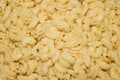 Boiled pasta.Macaroni cones. Royalty Free Stock Photo